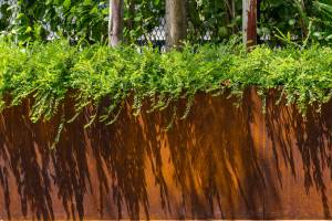 Bordures en acier CorTen au jardin : comment choisir et commander ?
