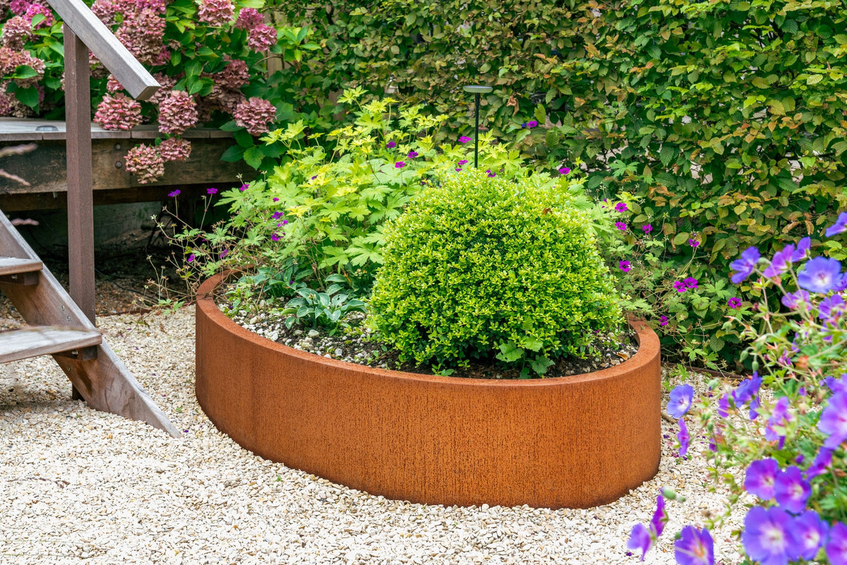 Et si votre jardin se démarquait avec des formes uniques ?