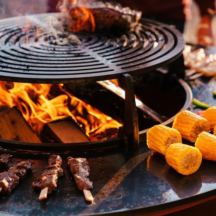 Grille plancha