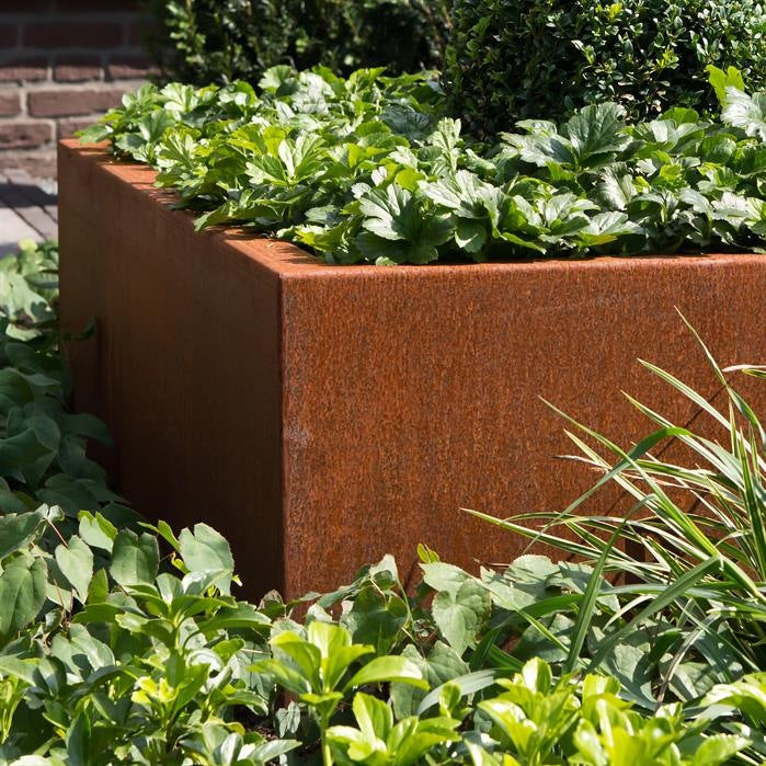 CORDOBA Pflanzenkübel OHNE BODEN aus CorTen-Stahl