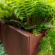 Pots pour plantes CORDOBA en acier CorTen