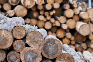 Choisir l’acier CorTen pour le rangement du bois de chauffage extérieur