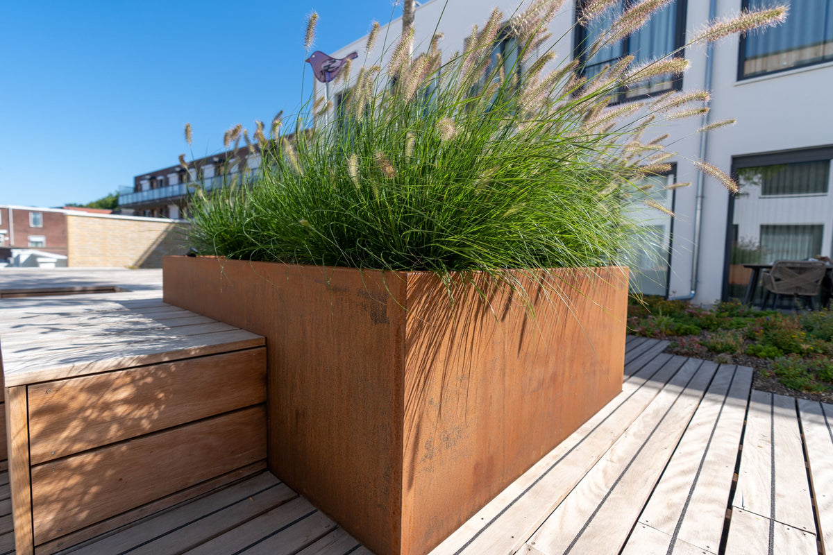 Les meilleures plantes à associer avec l'Acier CorTen