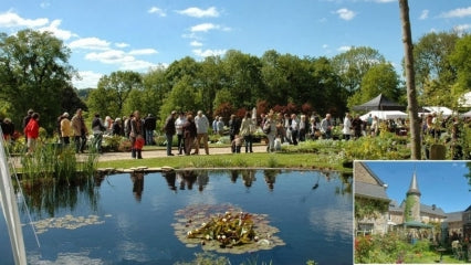 Fête des plantes à Englebermont le 05/06/2022
