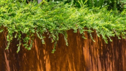 Pourquoi choisir de l’acier CorTen pour votre jardin ?