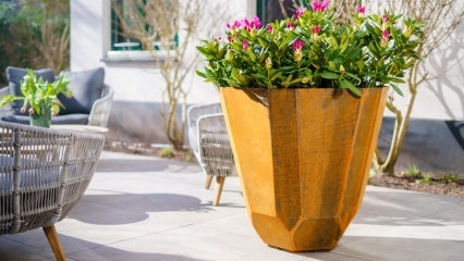 Et si votre jardin se démarquait avec des formes uniques ?