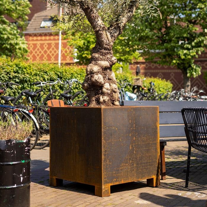 Pots pour plantes BRAGA CARRÉ en acier CorTen