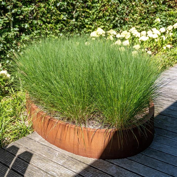Pots pour plantes LUCCA SANS FOND en acier CorTen