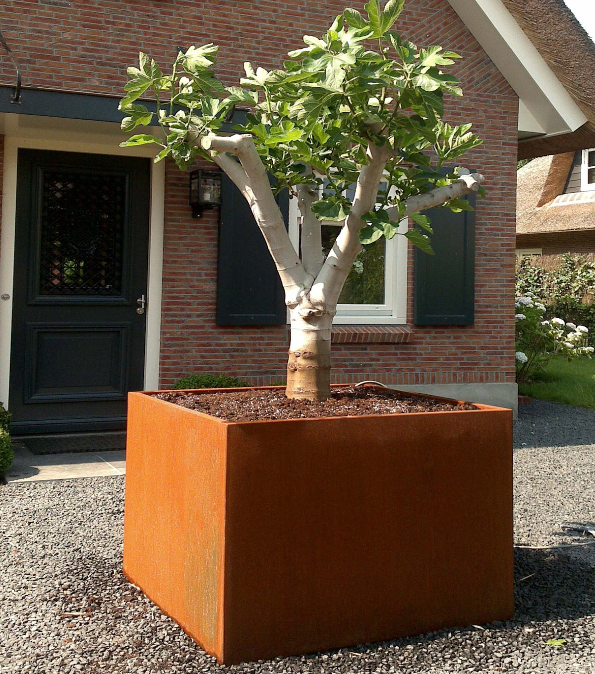 Pots pour plantes CORDOBA CARRÉS en acier CorTen