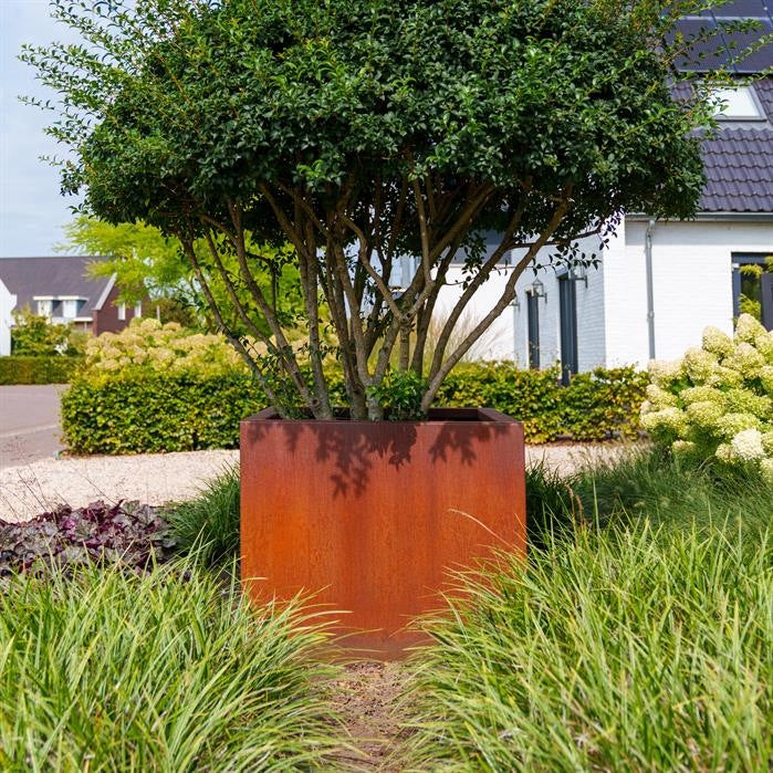 CORDOBA QUADRATISCHE Pflanzenkübel aus CorTen-Stahl