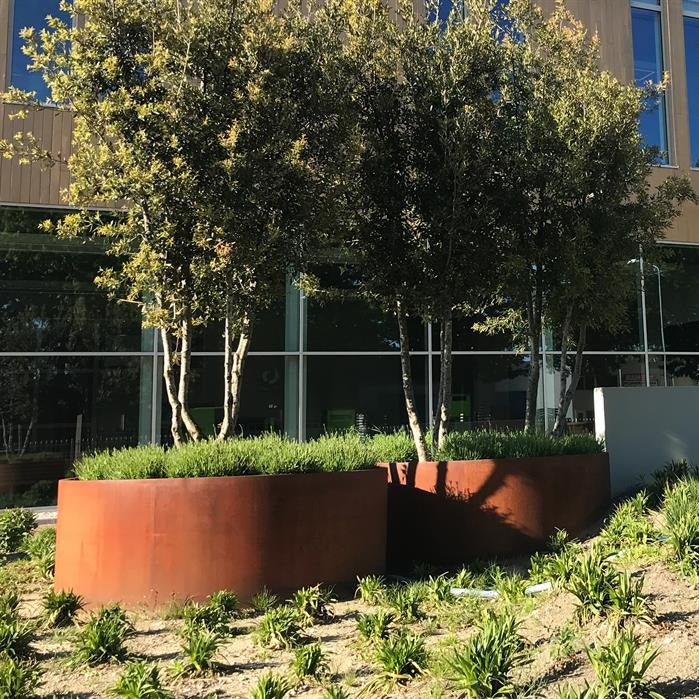 Pots pour plantes SAIDA SANS FOND en acier CorTen
